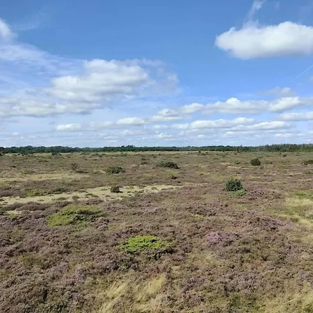 Nyaraló 4 Person In