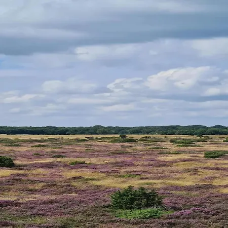 Nyaraló 4 Person In *