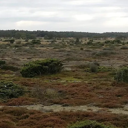 4 Person In * Hadsund